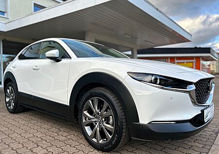 Mazda CX-30 2,0 Ltr. LED Navi Leder 360°-Kamera Euro6