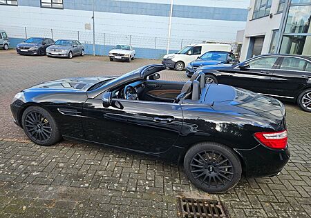 Mercedes-Benz SLK 250 CDI BlueEFFICIENCY W172