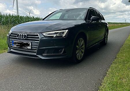 Audi A4 3.0 TDI S /AHK/8xAlu/HU & Service neu/Vollaus