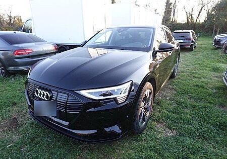 Audi e-tron SPORTBACK 50 Q BLACK ACC/MATRIX/KAM./SHZ.