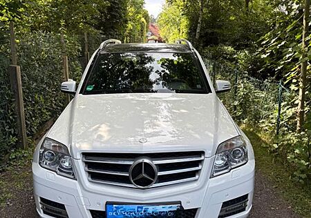 Mercedes-Benz GLK 220 CDI 4MATIC BlueEFFICIENCY -