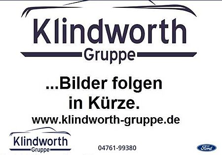 Ford Tourneo Custom gebraucht kaufen Ford Tourneo Custom 2.0 EcoBlue L1 Titanium Navi,ACC