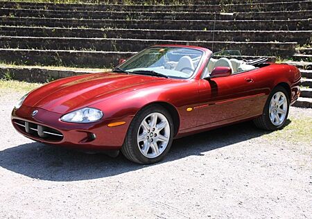 Jaguar XK8 Cabrio 3 Jahre Garantie