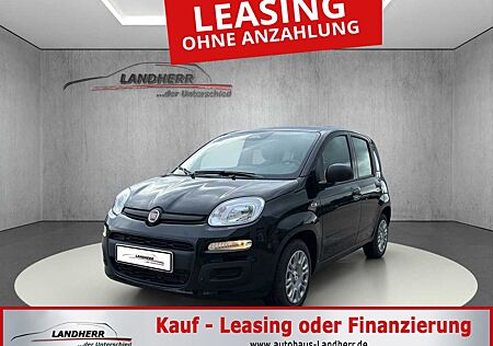 Fiat Panda 1.0 Firefly Hybrid //PDC hinten/DAB/Spurha