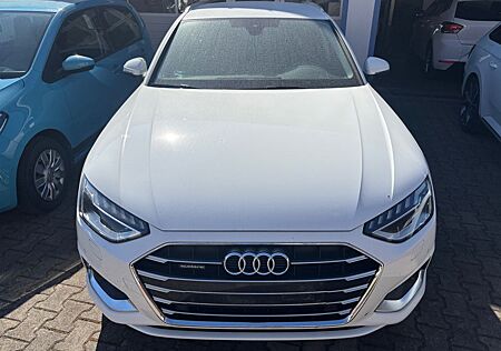 Audi A4 Avant 40 TFSI qu. adv.AHK,Standh.,RFK,ACC,Nav