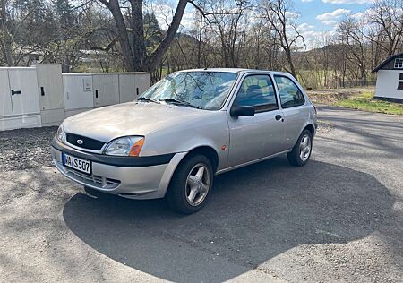 Ford Fiesta D | Top für Anfänger