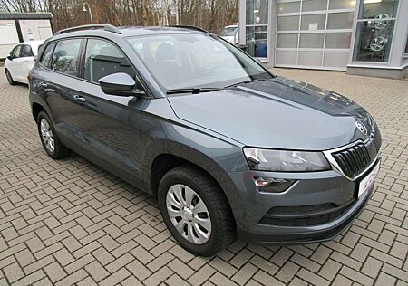 Skoda Karoq Active+WR