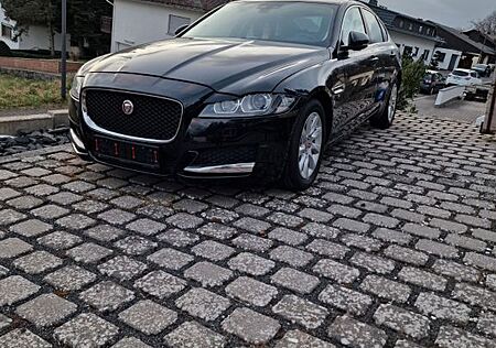 Jaguar XF 20d 180PS Portfolio Automatik Portfolio