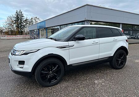 Land Rover Range Rover Evoque Pure 4x4 * Kamera * Pano *