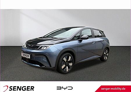 BYD DOLPHIN Design Panorama 360°-Kamera Keyless LED