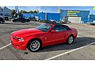 Ford Mustang Cabrio Top Zustand, HUD, DAB, Carfax usw