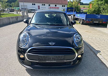 Mini ONE Blackyard