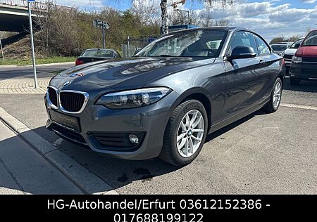 BMW 218i Coupe Vollleder KM107000