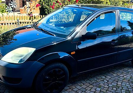 Ford Fiesta 1.3 44 kW -