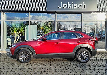 Mazda CX-30 SKY-G (122PS) M-HYBRID SELECTION iACTIV-P.