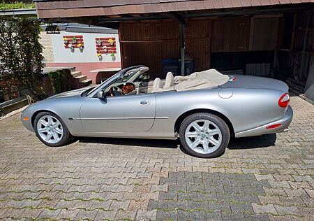 Jaguar XK8 Cabriolet - Der Sommer kommt
