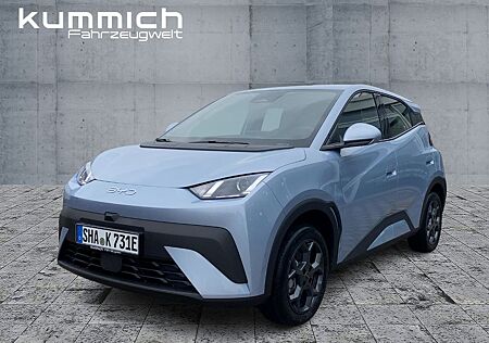 BYD DOLPHIN SURF Boost