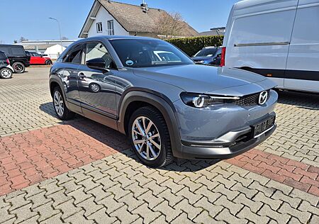 Mazda MX-30 e-SKYACTIV Rückfahrkamera, Klima, AppleCar