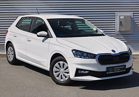 Skoda Fabia Selection 1.0TSI DSG LED/TEMPOMAT/KLIMAAUT