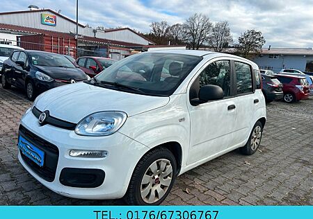 Fiat New Panda 1.2 8V *Klima*EURO 6* FESTPREIS*