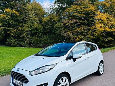 Ford Fiesta 1.0 EcoBoost 100 PS | gepflegt | spa