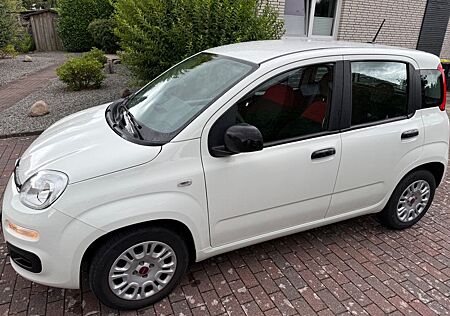 Fiat Panda 1.2 sehr wenig Kilometer