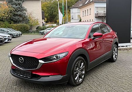 Mazda CX-3 CX-30 Selection 2WD HUD MEMORY 360 GRAD