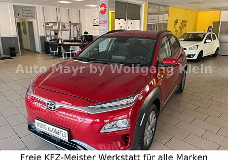 Hyundai Kona Advantage Elektro 2WD, Navi, Alu, SHZ, LHZ