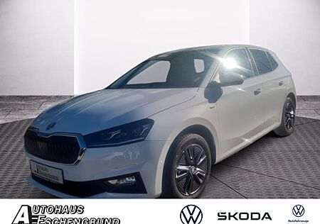 Skoda Fabia 1.0 TSI Tour WINTER PLUS BEHEIZBARES MFL