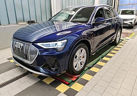 Audi e-tron 55 Q 2x S LINE 21Z/AIR-SUS/DAB/NAV/KAMERA