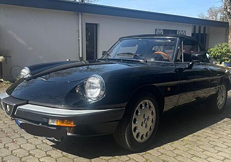Alfa Romeo Spider 1.6 | vollrestauriert 2021 | Top Zustand