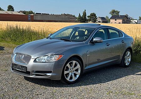 Jaguar XF 3.0 V6 Diesel Edition*AHK*scheckheftgepflegt