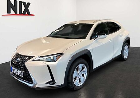 Lexus UX 250 h Style Edition KAMERA SHZ LED