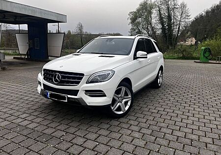 Mercedes-Benz ML 350 *Luft*ILS*Command*AHK