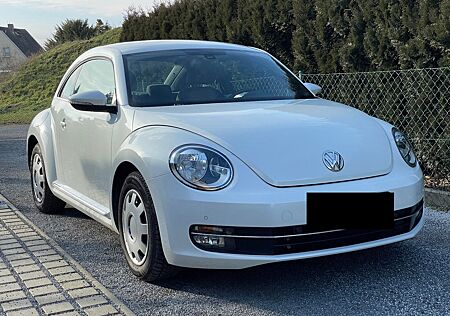 VW Beetle Volkswagen Design | 79.000 KM | TÜV NEU