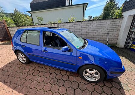 VW Golf Volkswagen 1.6 Basis