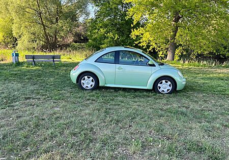 VW Beetle Volkswagen