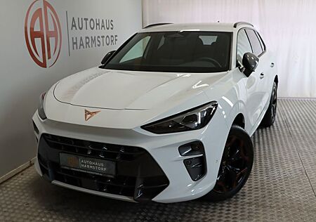 Cupra Terramar 1.5 eTSI AHK 360Grad HeadUP DCC