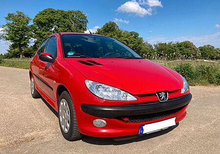 Peugeot 206 Grand Filou Cool 90 ESP
