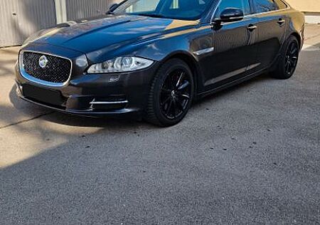 Jaguar XJ Luxury 3.0 V6 Diesel S Luxury