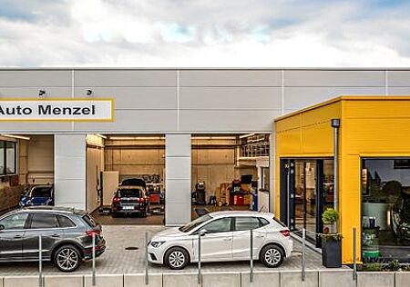 Skoda Fabia 130 Jahre Kamera/5J.o.100TKM/SHZ/PDC/MFL