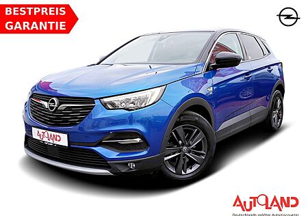 Opel Grandland X 1.2 Turbo 2020 LED Winterpaket