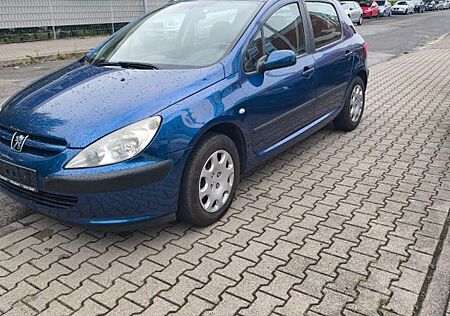 Peugeot 307 Grande Filou Cool