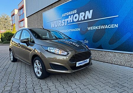 Ford Fiesta Sync Edition PDC / Winter-P / etc