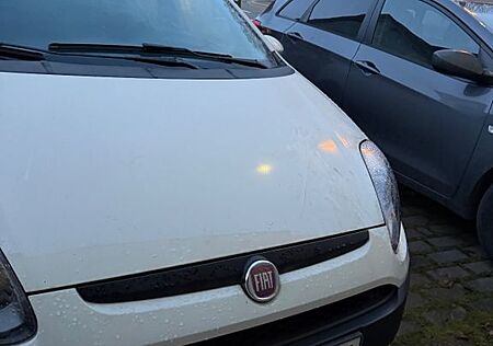 Fiat Punto EVO