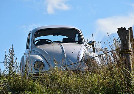 VW Käfer Volkswagen perlmutt Herby H-Kennz TÜV neu Winterpreis