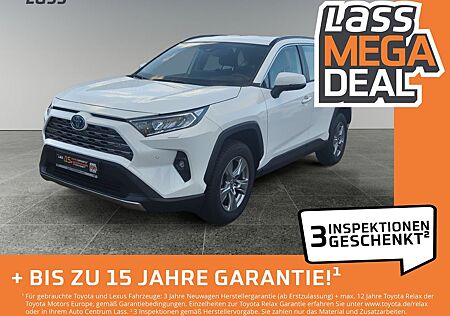 Toyota RAV 4 RAV4 - 2.5 l Hybrid 4x2 Business Edition
