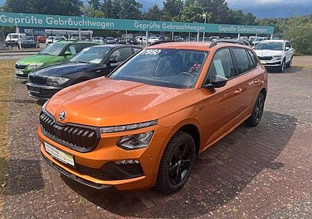 Skoda Kamiq Selection Automatik inkl Winterräder