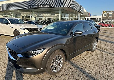 Mazda CX-30 Selection SKYACTIV-G 2.0 M Hybrid Design-P