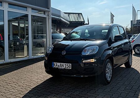 Fiat Panda 1.0 GSE Hybrid Pandina Icon